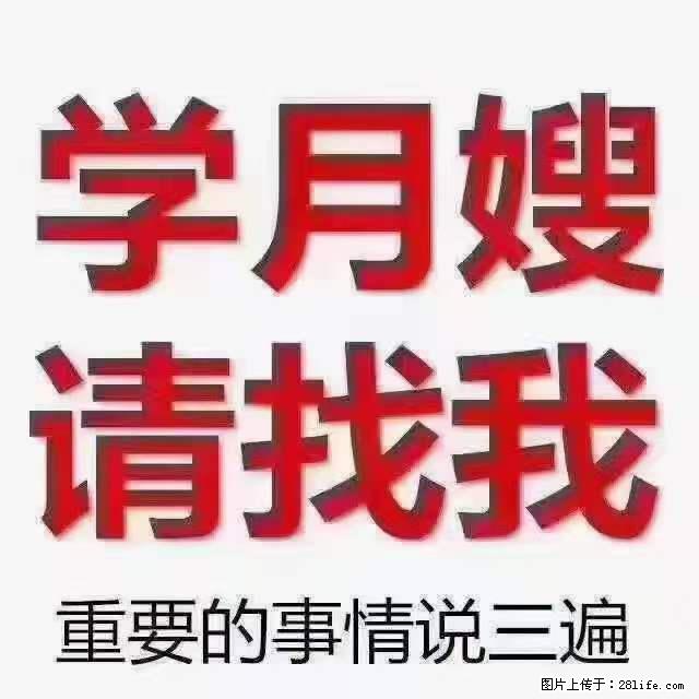 为什么要学习月嫂，育婴师？ - 其他广告 - 广告专区 - 德宏分类信息 - 德宏28生活网 dh.28life.com