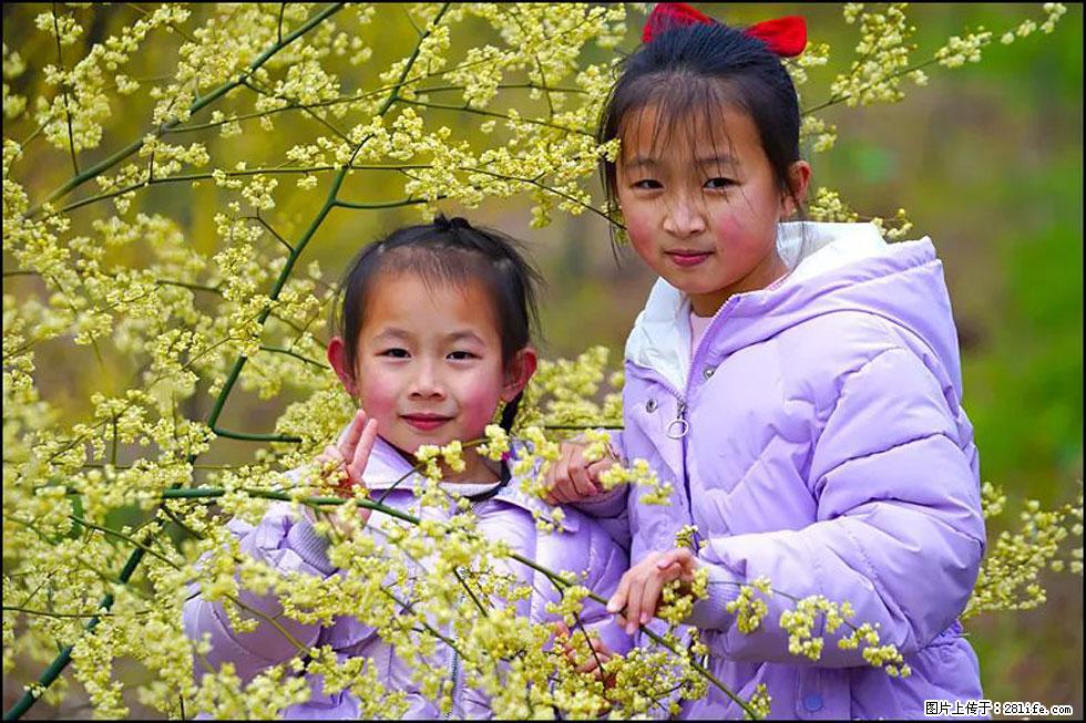 【春天，广西桂林灌阳县向您发出邀请！】米珠山前有片山苍子花在飘香 - 游山玩水 - 德宏生活社区 - 德宏28生活网 dh.28life.com