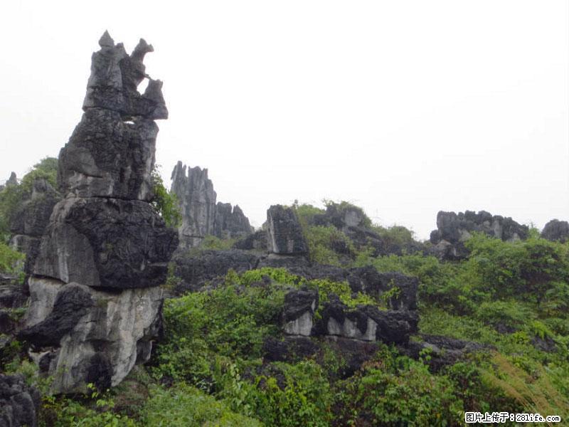 桂林旅游名城景点：灌阳文市石林 - 游山玩水 - 德宏生活社区 - 德宏28生活网 dh.28life.com