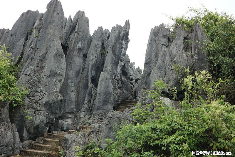 桂林旅游名城景点：灌阳文市石林 - 游山玩水 - 德宏生活社区 - 德宏28生活网 dh.28life.com