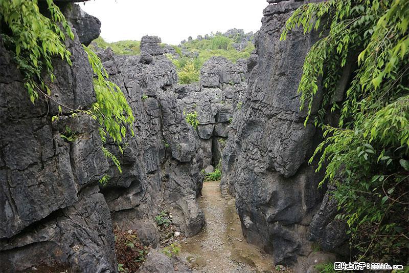 桂林旅游名城景点：灌阳文市石林 - 游山玩水 - 德宏生活社区 - 德宏28生活网 dh.28life.com