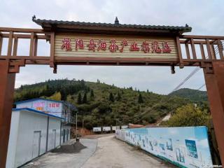 【灌阳县油茶产业示范区】一个有着充实的精神生活的人，对待身外之物自会有一种淡泊的态度 - 德宏28生活网 dh.28life.com