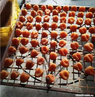 广西桂林平乐桥亭【柿饼之乡】2025年纯手工制作、无任何添加剂的第一批柿饼准备上市了，欢迎联系订购！ - 德宏28生活网 dh.28life.com