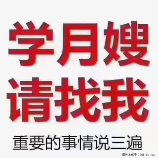 【招聘】月嫂，上海徐汇区 - 德宏28生活网 dh.28life.com