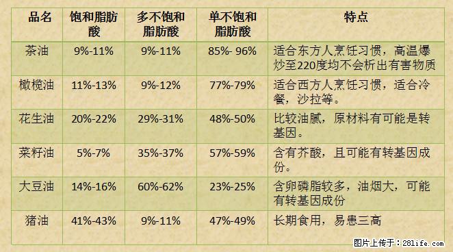 揭秘茶油的5大核心营养成分！被称为人体健康的“守护盾”！ - 德宏生活资讯 - 德宏28生活网 dh.28life.com