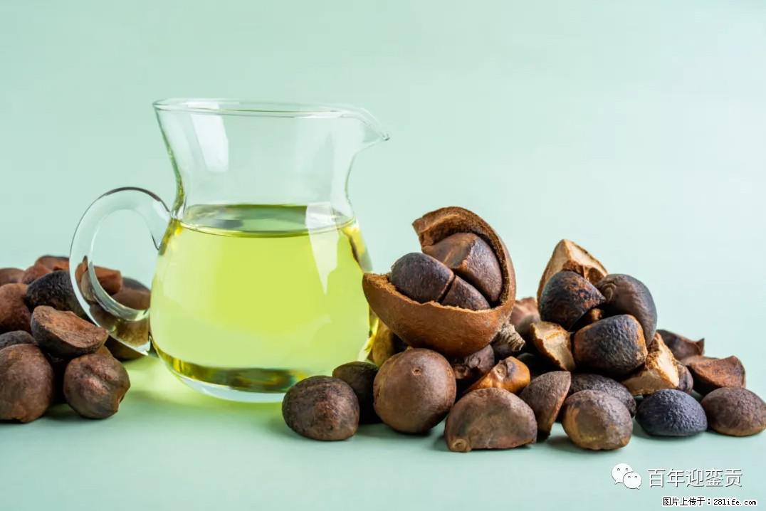 世界没有真相，只有认知，最好的食用油是中国的山茶油！ - 德宏生活资讯 - 德宏28生活网 dh.28life.com