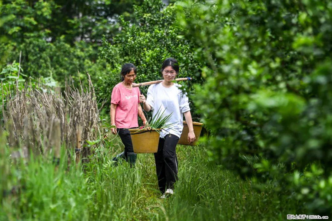 全网追的“扁担女孩”,找了一份暑假工,时薪12元 - 德宏生活资讯 - 德宏28生活网 dh.28life.com