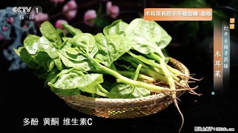 比牛奶补钙还厉害!凉血解毒、稳血糖...这菜冬天必吃,很多人却当草 - 德宏生活资讯 - 德宏28生活网 dh.28life.com