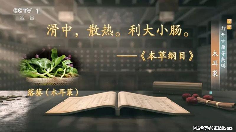 比牛奶补钙还厉害!凉血解毒、稳血糖...这菜冬天必吃,很多人却当草 - 德宏生活资讯 - 德宏28生活网 dh.28life.com