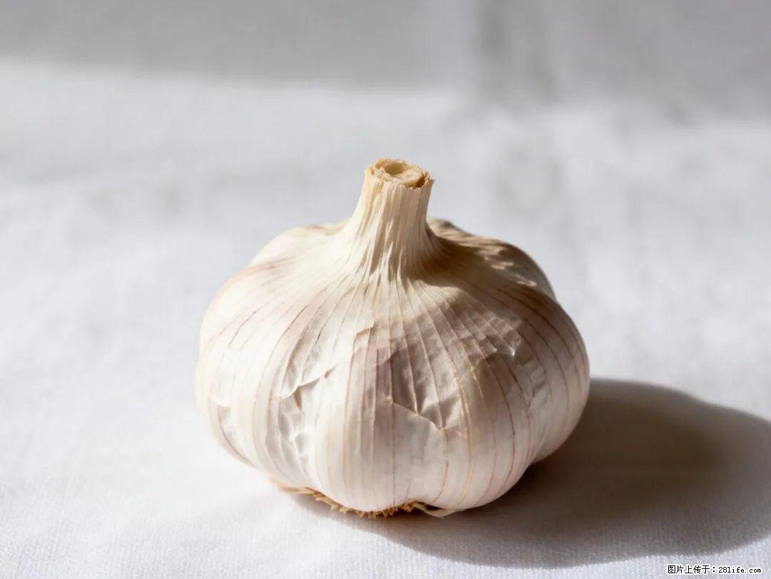 关于大蒜,除了“天然抗生素”,这4个谣言更该警惕! - 德宏生活资讯 - 德宏28生活网 dh.28life.com