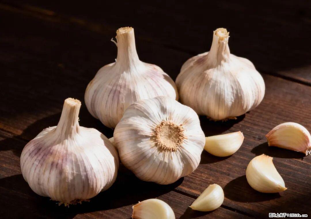 关于大蒜,除了“天然抗生素”,这4个谣言更该警惕! - 德宏生活资讯 - 德宏28生活网 dh.28life.com