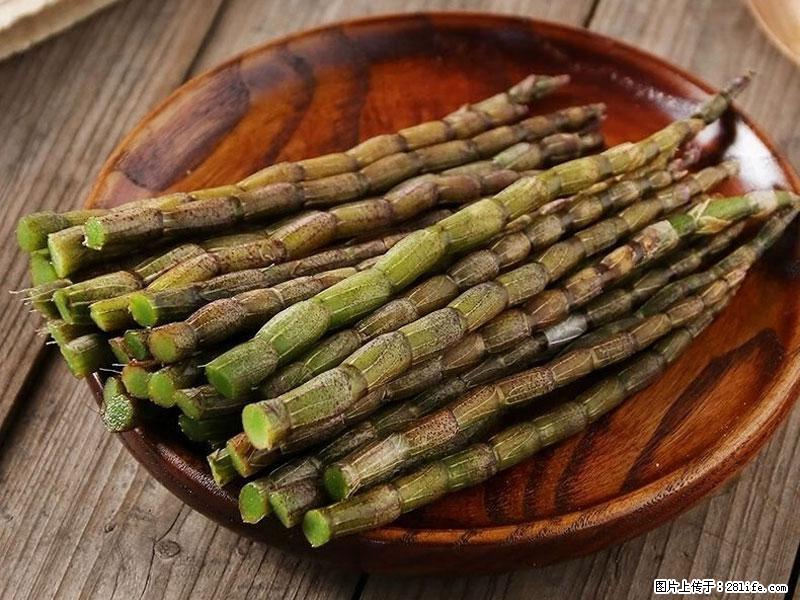 铁皮石斛的作用与功能主治 - 德宏生活资讯 - 德宏28生活网 dh.28life.com