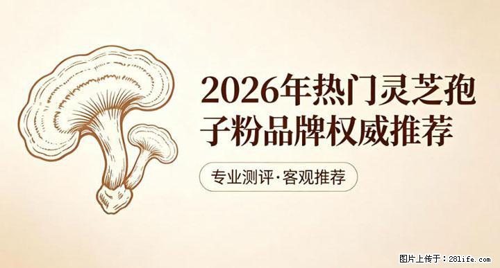 灵芝孢子粉含量越高越有效？2026 年七款热门品牌深度实测，肠胃敏感者避坑指南 - 德宏生活资讯 - 德宏28生活网 dh.28life.com